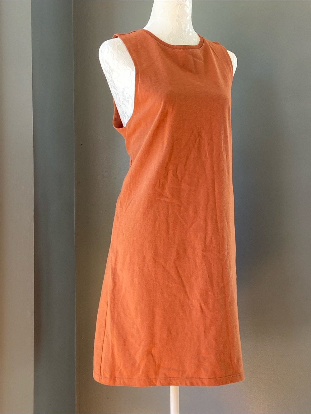NEW Richer Poorer Terracotta shirt dress